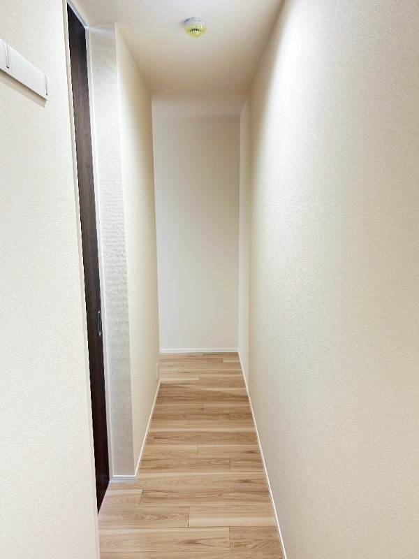 ��ʌ��������܎s�΋�厚�����̃}���V�����̌���
