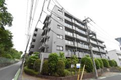 ��ʌ�����s�˒˂R����14-26�̃}���V�����̌����O��