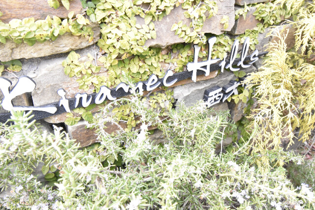 ��ʌ��������܎s���搼��{�R���ڂ̃A�p�[�g�̎���