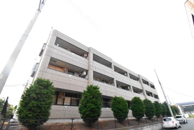 ��ʌ�����s�厚�����q��V�c�̃}���V�����̌����O��