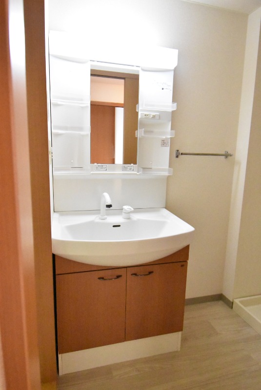 ��ʌ�����s�厚�����q��V�c�̃}���V�����̐��ʏ�