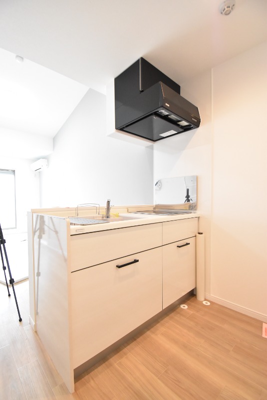 ��ʌ�����s�씵���J�S���ڂ̃A�p�[�g�̃L�b�`��