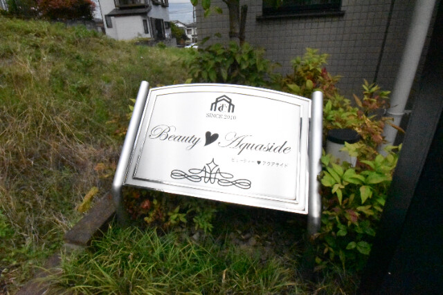 ��ʌ�����s�厚���s������̃}���V�����̎���