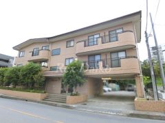 ��ʌ�����s������P����5-33�̃}���V�����̌����O��