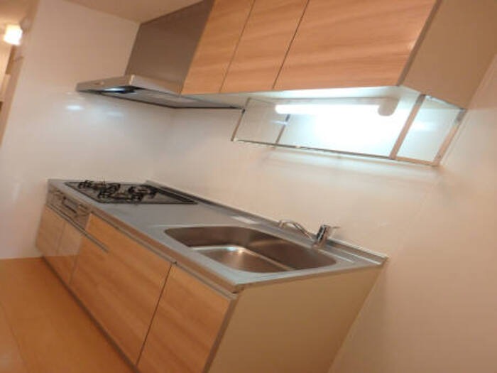 ��ʌ��z�J�s���z�J�P���ڂ̃A�p�[�g�̃L�b�`��