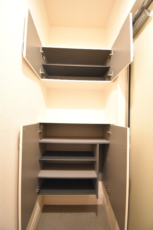 ��ʌ��z�J�s���z�J�P���ڂ̃A�p�[�g�̎��[