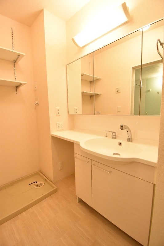 ��ʌ��z�J�s���z�J�P���ڂ̃A�p�[�g�̐��ʏ�