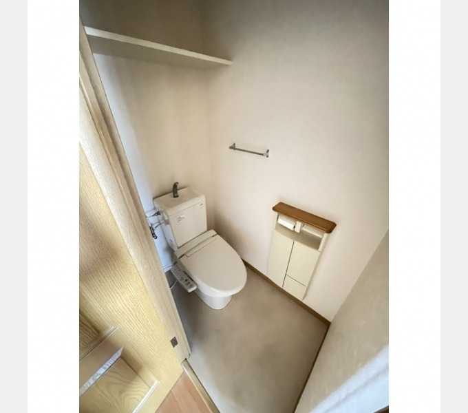 ��ʌ�����s�厚�ԎR�̃}���V�����̃g�C��