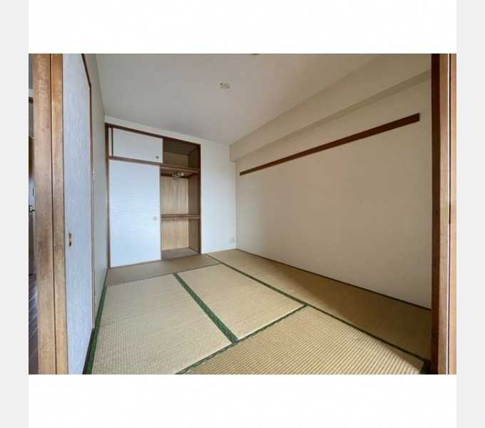 ��ʌ�����s�厚�ԎR�̃}���V�����̂��̑�