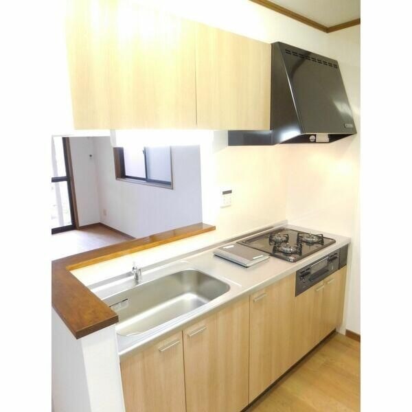 ��ʌ��������܎s����厚�w��̃A�p�[�g�̃L�b�`��