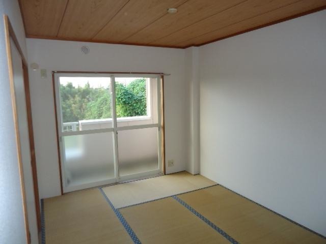 ��ʌ�����s�厚�����̃}���V�����̂��̑�