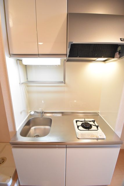 ��ʌ��z�J�s�{�{���P���ڂ̃A�p�[�g�̃L�b�`��