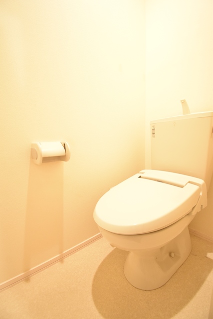 ��ʌ��������܎s������{�����T���ڂ̃}���V�����̃g�C��