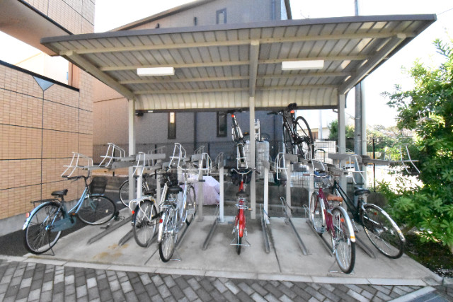 ��ʌ�����s�厚�����q��V�c�̃}���V�����̂��̑�