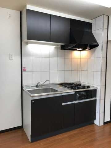 ��ʌ��z�J�s���C�N�^�E���P���ڂ̃A�p�[�g�̃L�b�`��