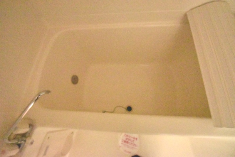 ��ʌ�����s�厚���V��h�̃}���V�����̃o�X