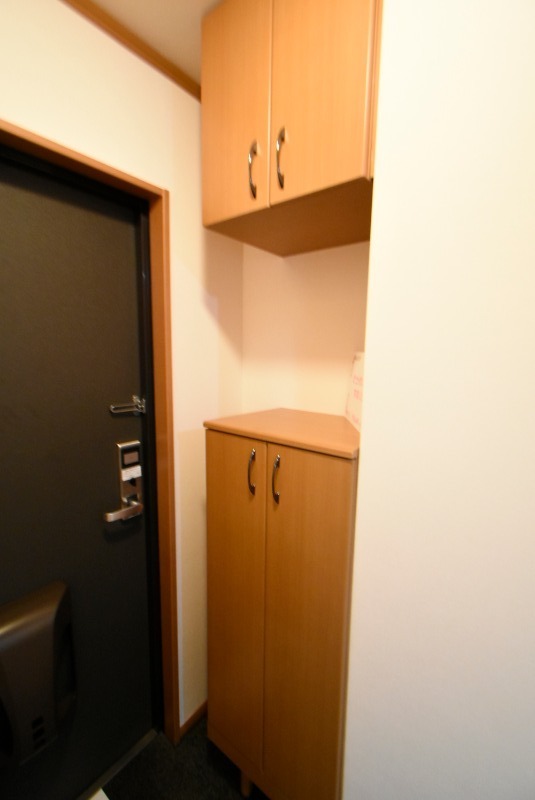 ��ʌ�����s�厚�����q��V�c�̃}���V�����̌���