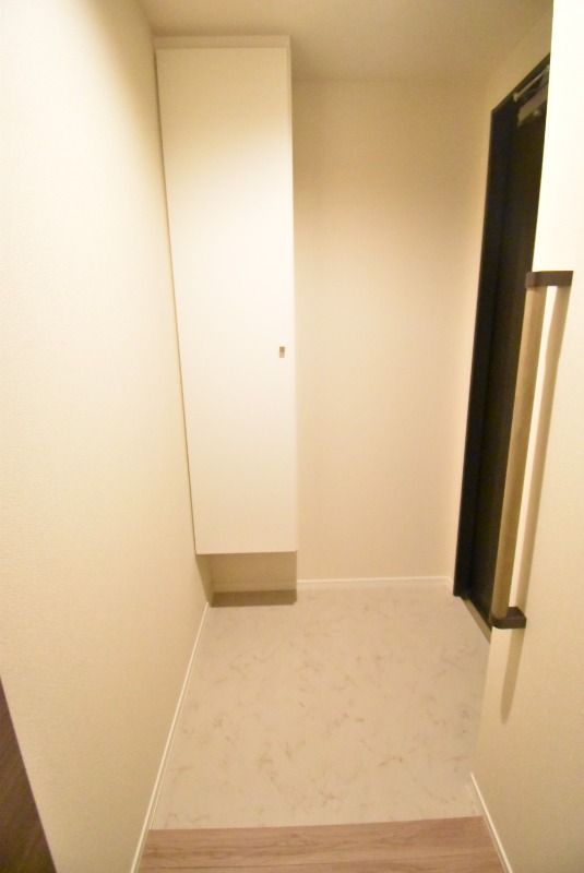 ��ʌ��������܎s��{��g�~���S���ڂ̃}���V�����̌���