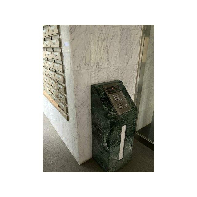 ��ʌ������s�X�쒬�̃}���V�����̂��̑�