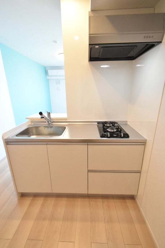 ��ʌ��������܎s����厚�w��̃A�p�[�g�̃L�b�`��