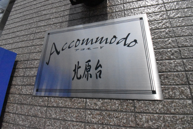 ��ʌ�����s�k����P���ڂ̃}���V�����̂��̑�