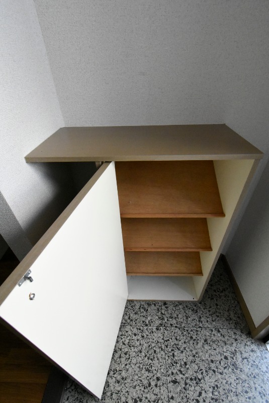 ��ʌ��������܎s����厚�y���̃A�p�[�g�̎��[