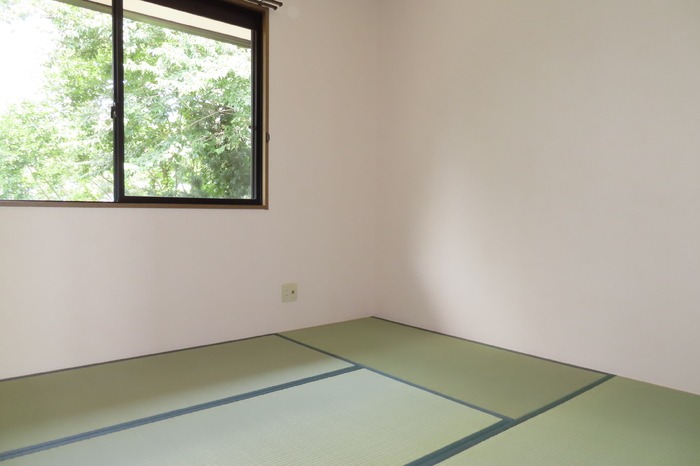 ��ʌ��������܎s����{�O���̃A�p�[�g�̂��̑�