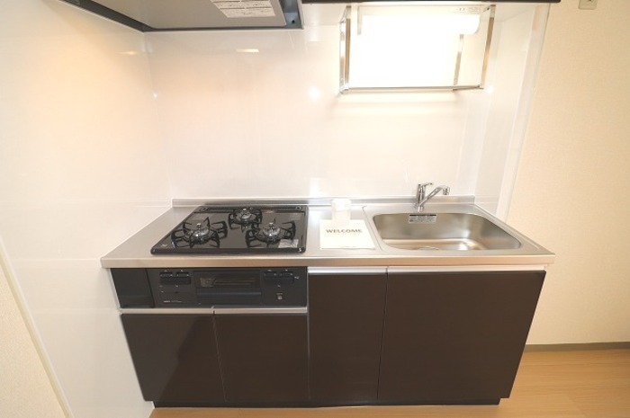 ��ʌ��������܎s������V�����S���ڂ̃A�p�[�g�̃L�b�`��