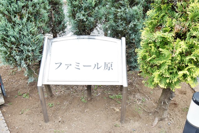 ��ʌ��k�����S�ɓޒ��{���P���ڂ̃}���V�����̎���