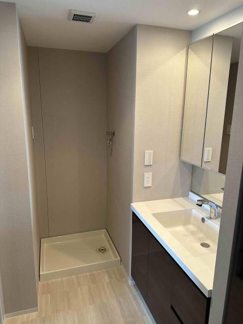 ��ʌ�����s�{�{���̃}���V�����̐��ʏ�