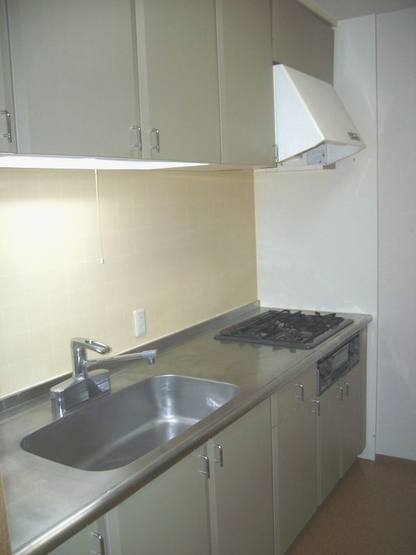 ��ʌ��������܎s�΋擌�Y�a�X���ڂ̃}���V�����̃L�b�`��