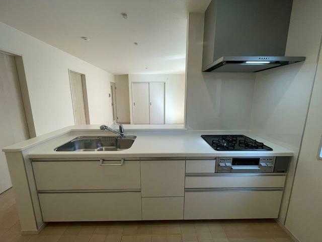 ��ʌ��@�c�s�厚���l�̈�ˌ��ẴL�b�`��