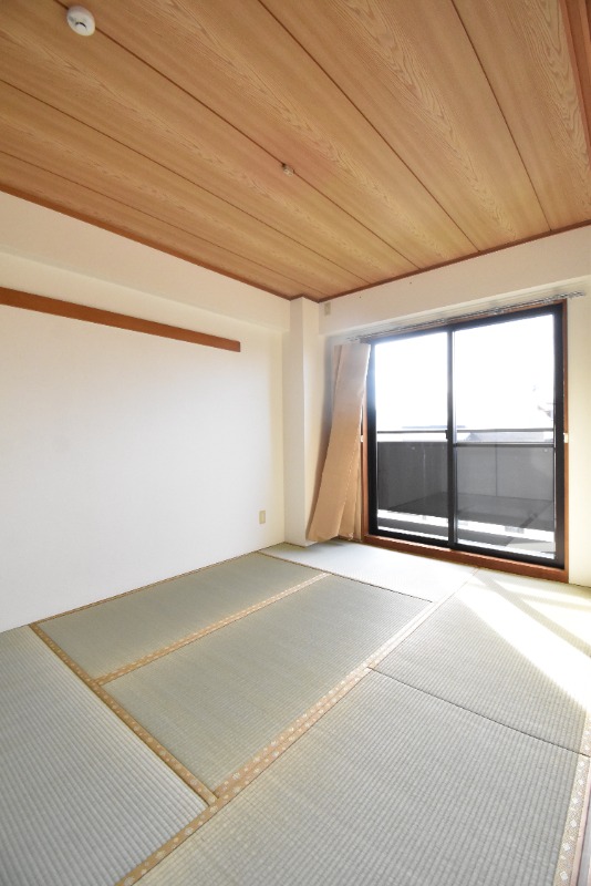 ��ʌ��������܎s�΋摾�c�E�P���ڂ̃}���V�����̂��̑�