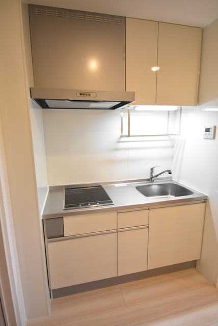 ��ʌ��������܎s�k����i���Q���ڂ̃A�p�[�g�̃L�b�`��