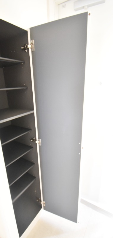 ��ʌ���z�s���g���̃}���V�����̎��[