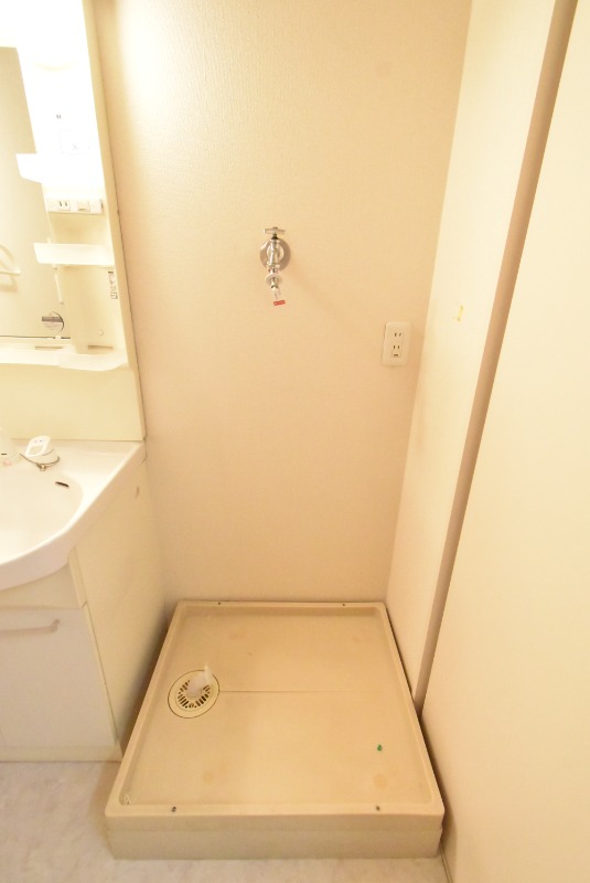 ��ʌ�����s�厚�ԎR�̃}���V�����̂��̑�