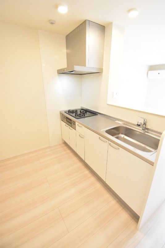 ��ʌ��z�J�s���z�J�P���ڂ̃A�p�[�g�̃L�b�`��