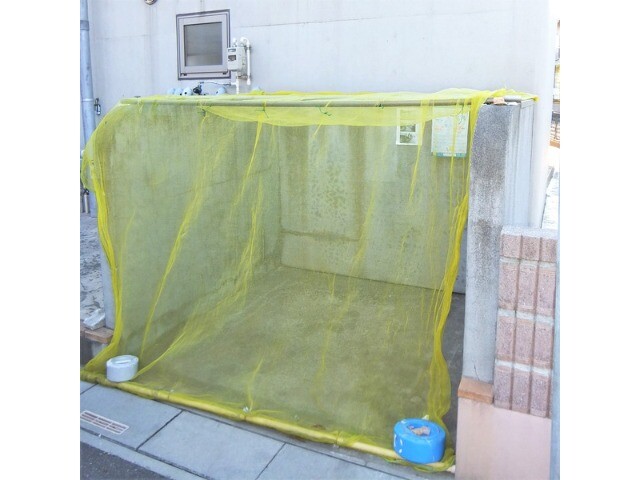 ��ʌ�����s�厚���s���т̃}���V�����̂��̑�