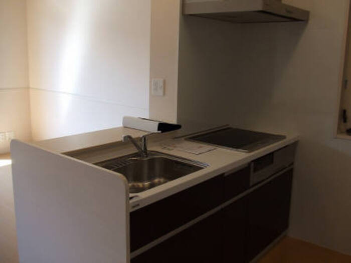 ��ʌ��������܎s����厚�w��̃A�p�[�g�̃L�b�`��