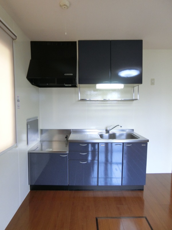 ��ʌ�����s�厚���Ԃ̃A�p�[�g�̃L�b�`��