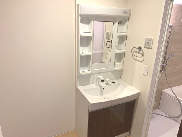 ��ʌ��z�J�s���C�N�^�E���P���ڂ̃}���V�����̐��ʏ�