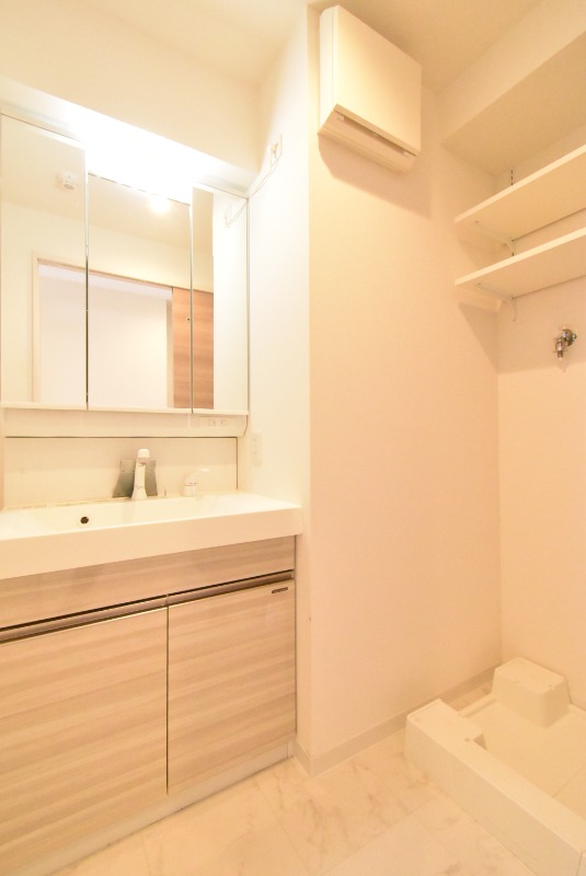 ��ʌ��z�J�s�z���J�P���ڂ̃}���V�����̐��ʏ�