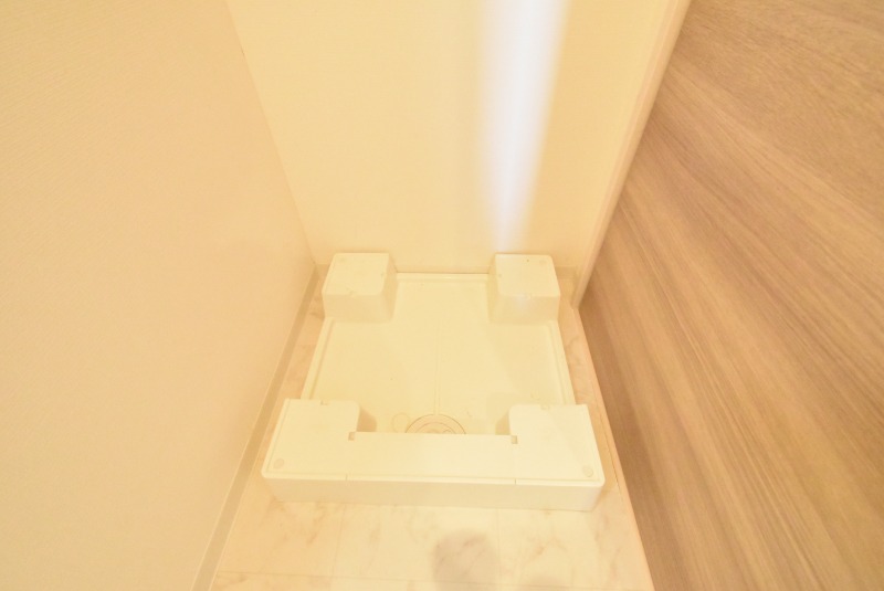 ��ʌ��z�J�s�z���J�P���ڂ̃}���V�����̂��̑�