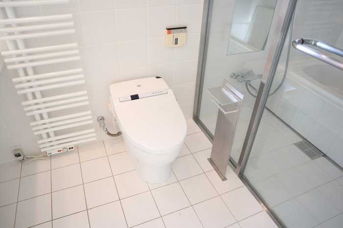 ��ʌ�����s�����Q���ڂ̃e���X�n�E�X�̃g�C��