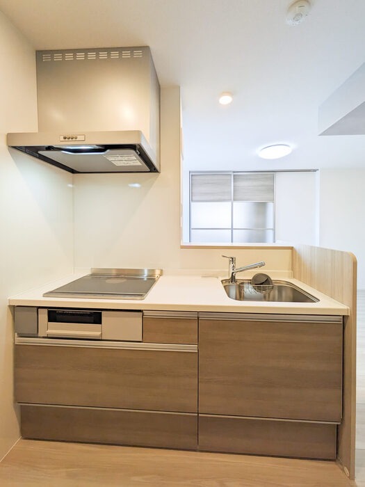 ��ʌ��������܎s��{��匴�U���ڂ̃A�p�[�g�̃L�b�`��