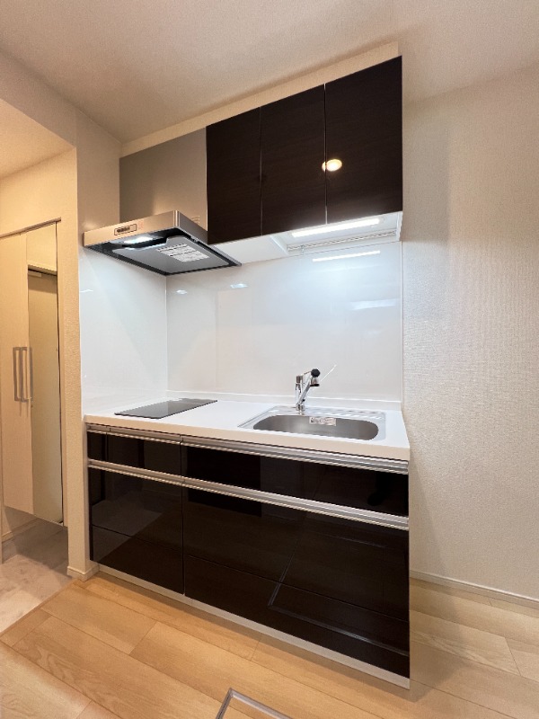 ��ʌ��������܎s�΋�厚���̃A�p�[�g�̃L�b�`��