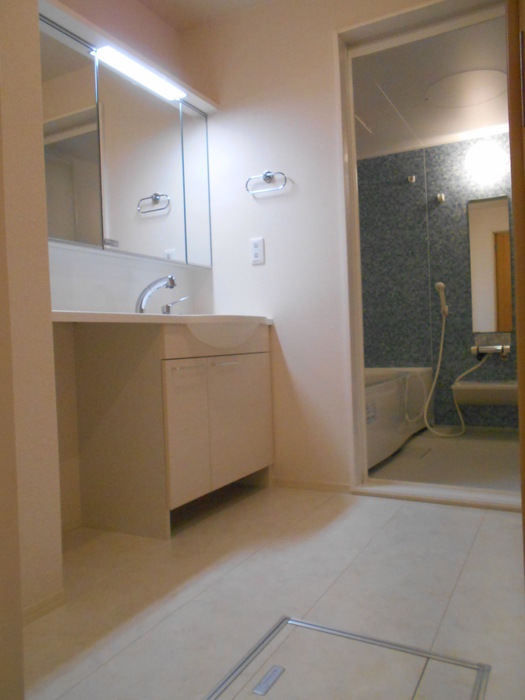 ��ʌ�����s�厚�����̃A�p�[�g�̐��ʏ�