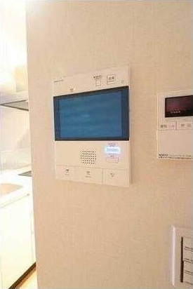 ��ʌ�����s������P���ڂ̃}���V�����̂��̑�