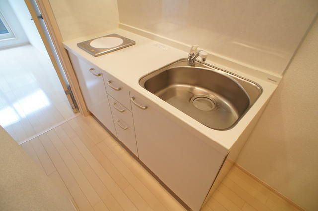 ��ʌ��������܎s�Y�a�挳���P���ڂ̃A�p�[�g�̃L�b�`��