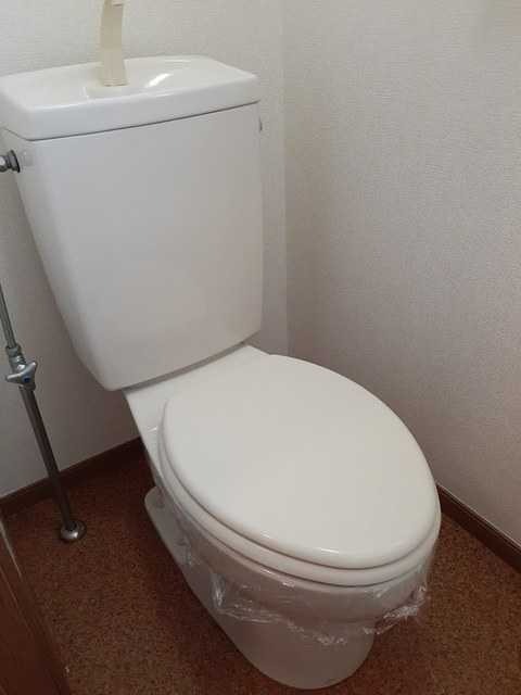 ��ʌ��������܎s����厚���m��̃A�p�[�g�̃g�C��